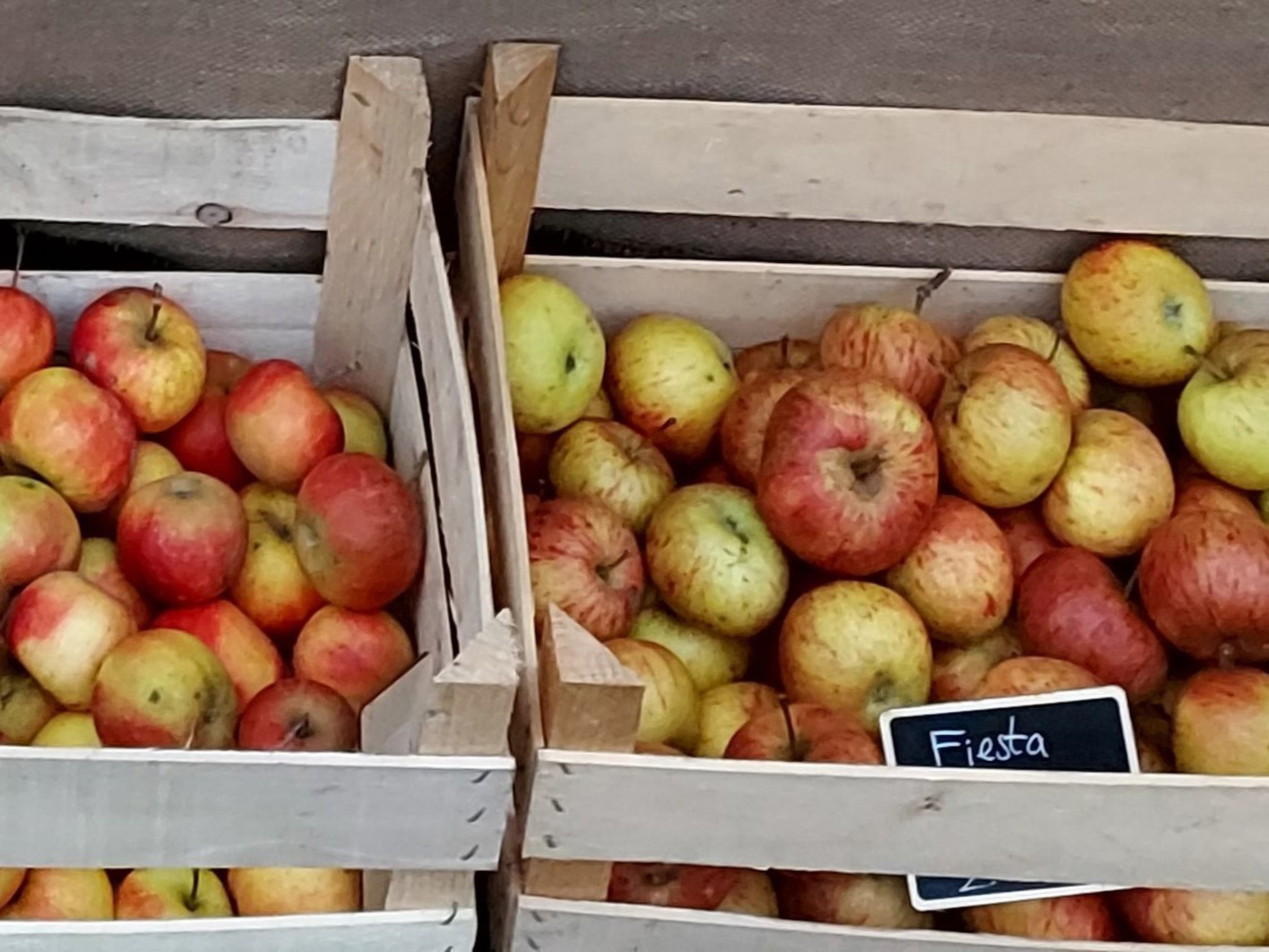 Apples