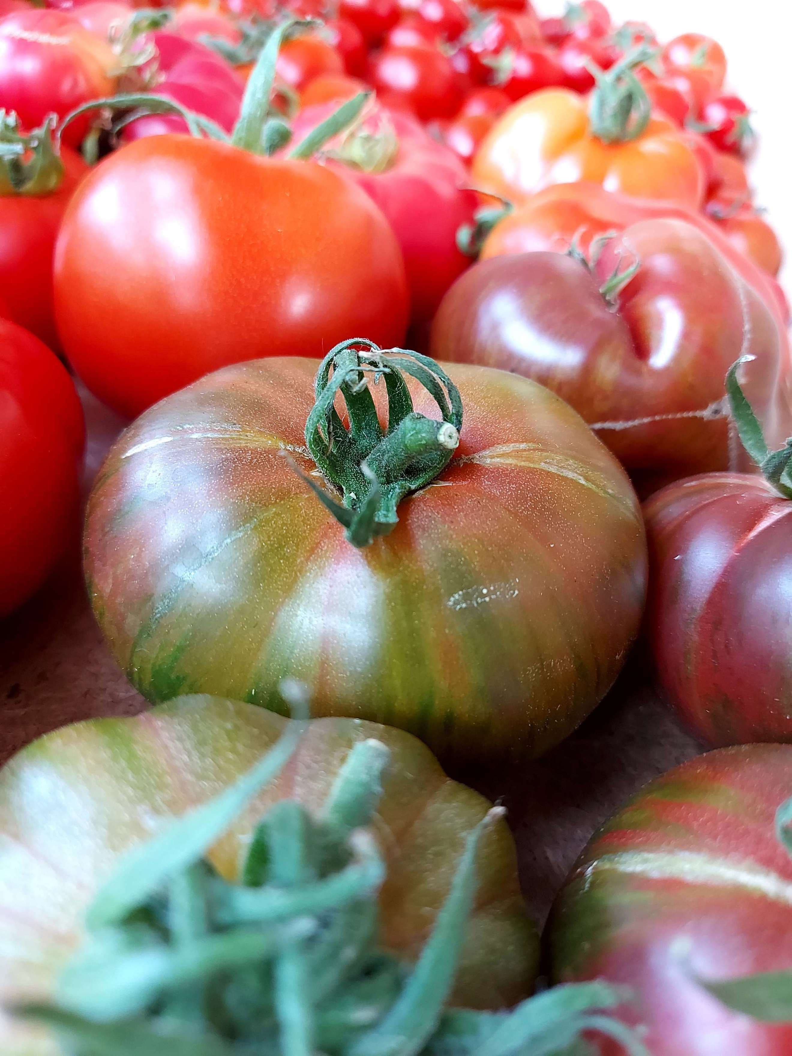 Heirloom Tomatoes