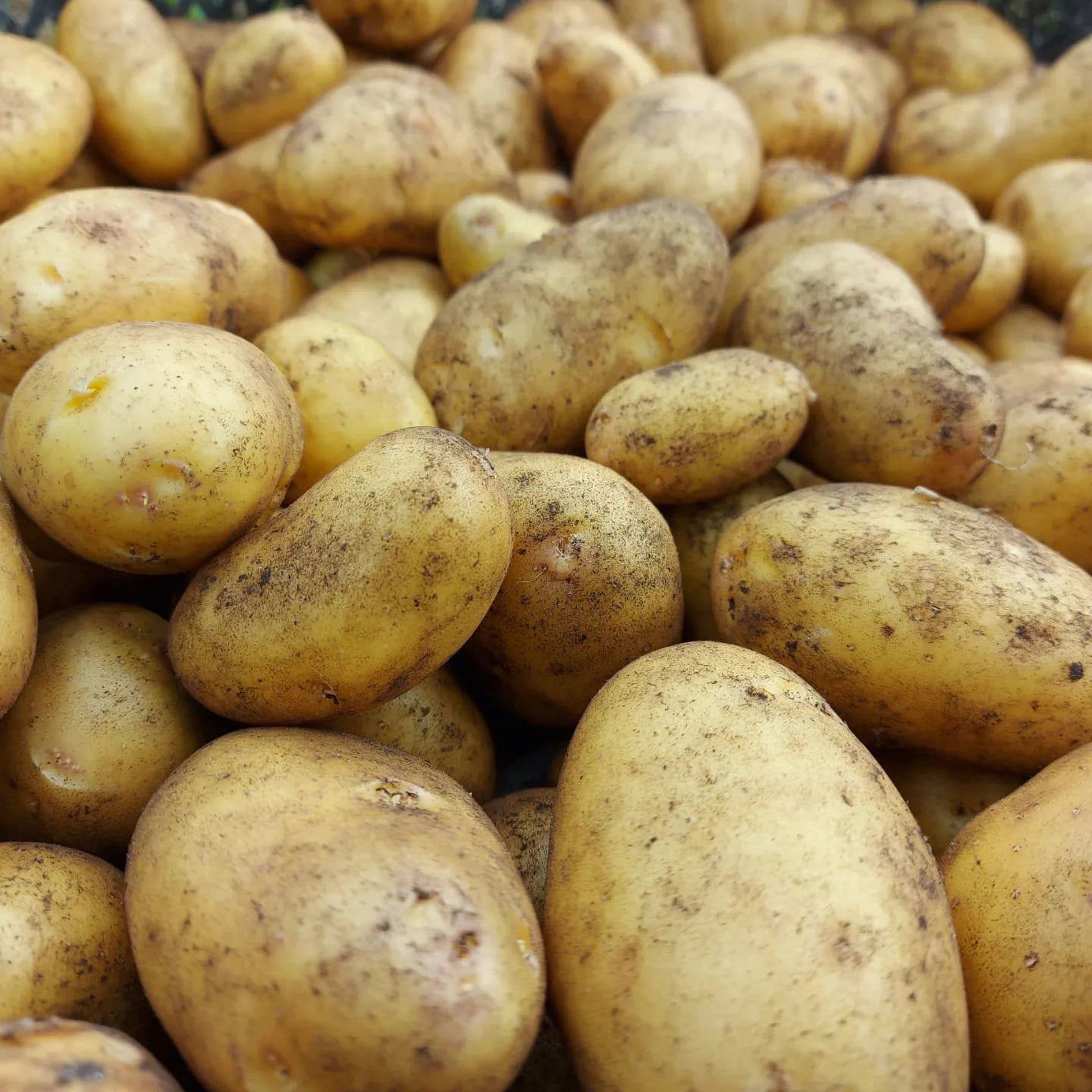 Potatoes