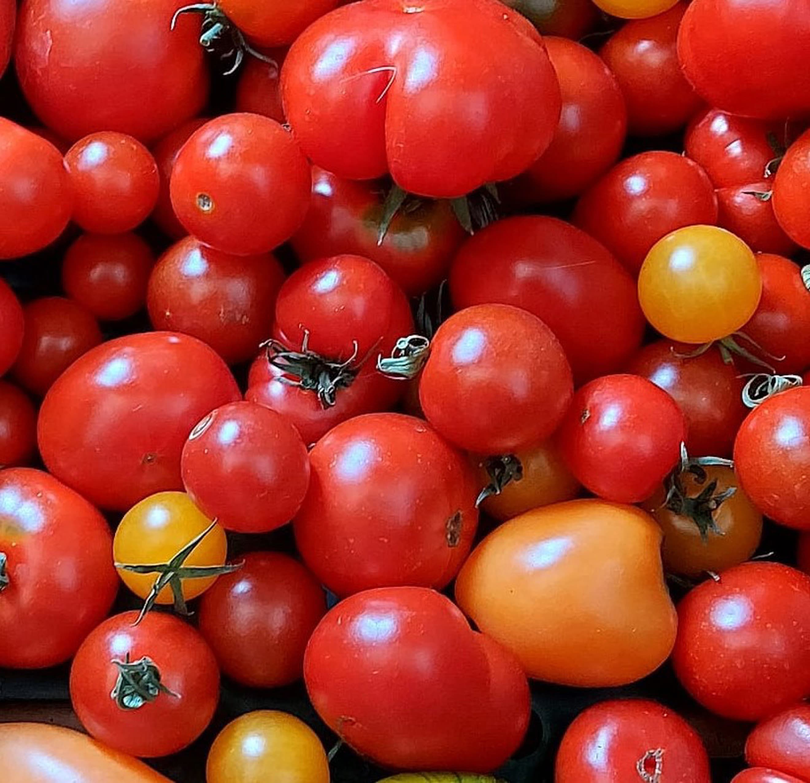 Cherry Tomatoes