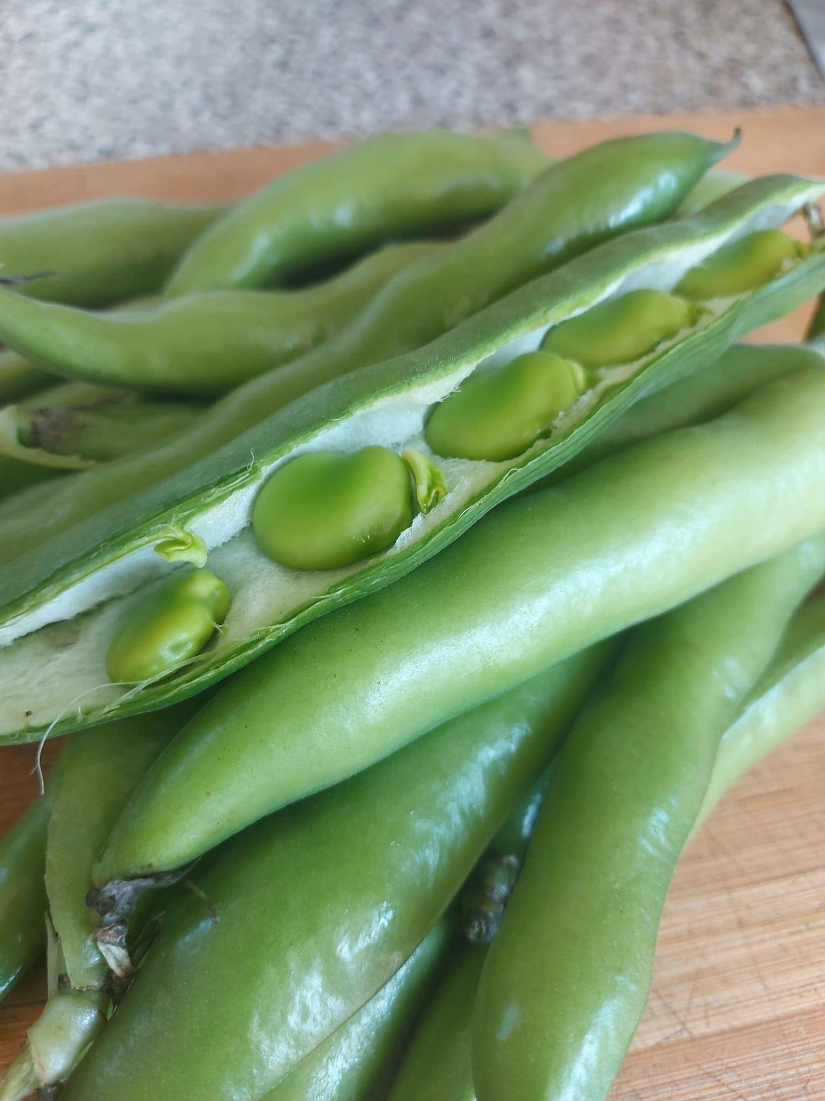 Broad Beans